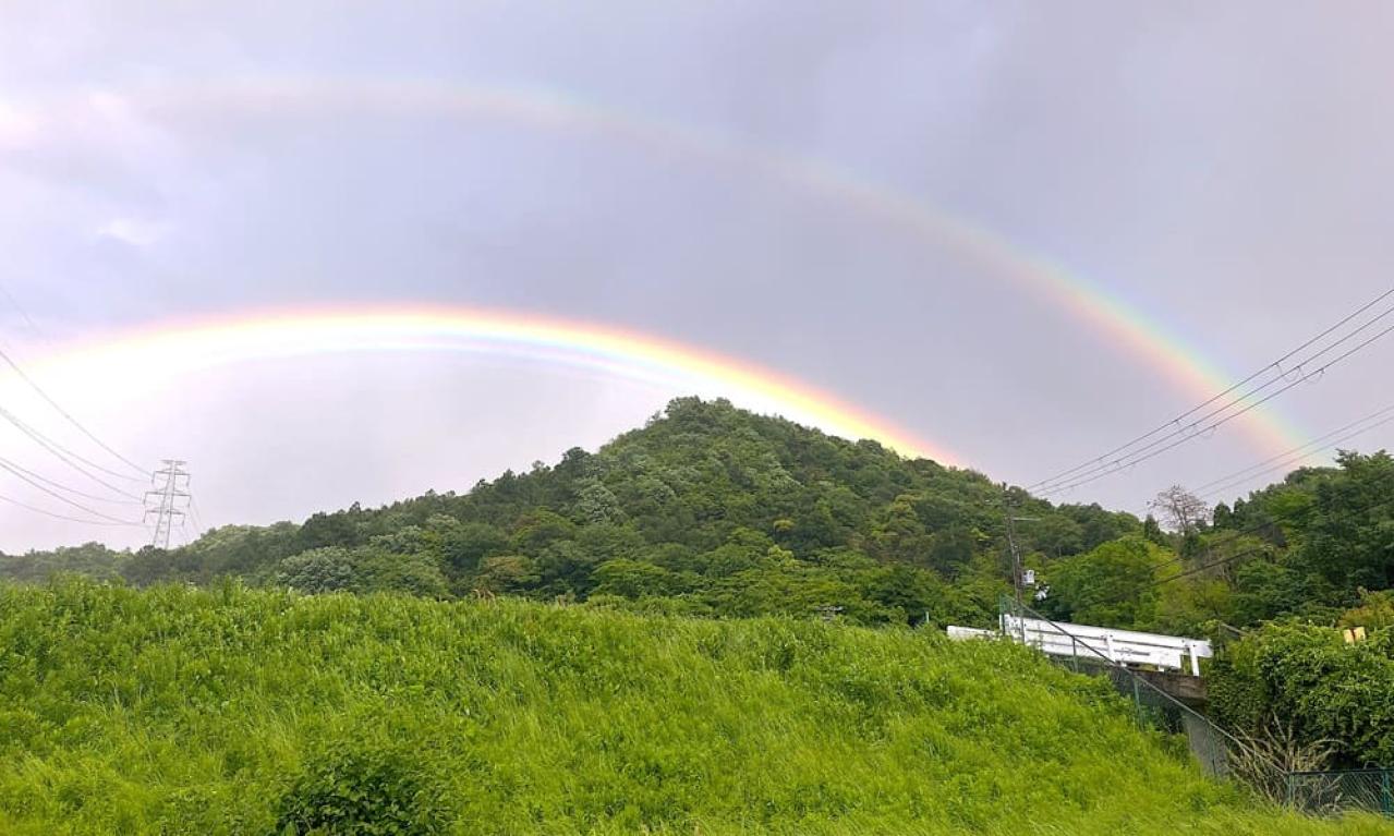 自己紹介をお願いします